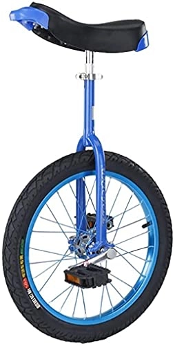 Unicycles : GAODINGD Unicycle for Adult Kids Unicycle 16 / 18 / 20 / 24 Inch Single Wheel Children Adult Adjustable Height Balance Cycling Bike, Best Birthday, Blue (Size : 24 inch)