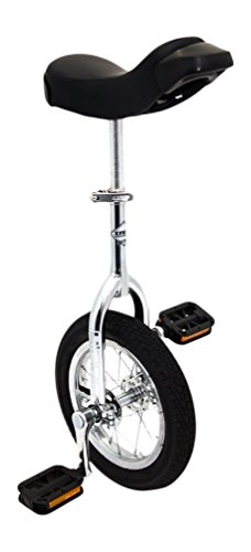 Unicycles : Indy Unicycles Kid's Trainer Unicycle-Chrome Plated, 12-Inch
