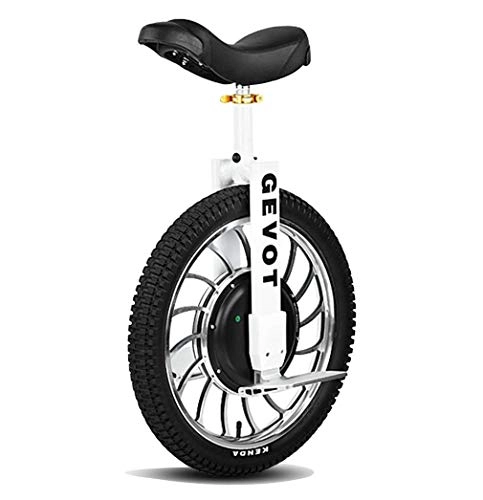 Unicycles : LHY RIDING Bicycle 20 Inch Single Wheel bicycle White Adult High Speed Balance Electric Motorcycle High Performance Unicycle Scooter 60v Voltage, A, 60V