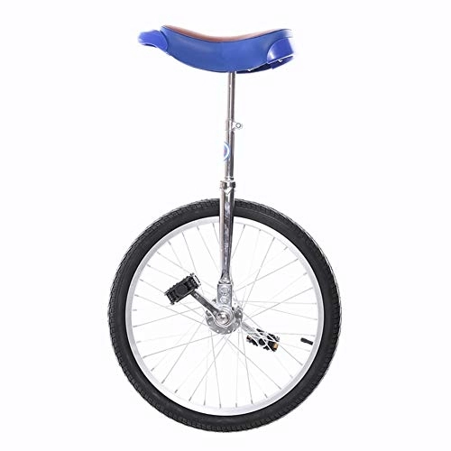 Unicycles : LoJax Kid's / Adult's Trainer Unicycle 16 / 20 / 24 Inch Unicycle for Big Kids / Adults / Men / Women, Anti-Skid Alloy Rim Fitness Exercise Pedal Bike with Adjustable Seat, Best Birthday Gift (24")