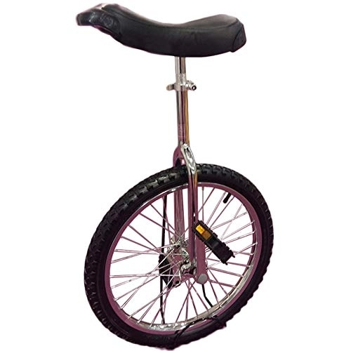 Unicycles : LoJax Kid's / Adult's Trainer Unicycle 20 Inch Unicycle for Big Kids / Adults, Adjustable Outdoor Unicycle with Heavy Duty Steel Frame and Alloy Rim Wheel, Best Birthday Gift (Silver 20 inch)