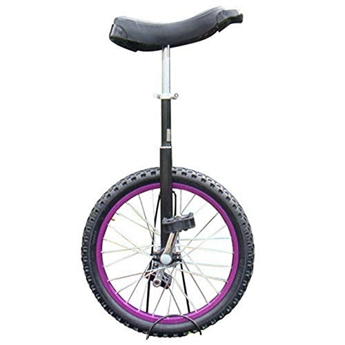 Unicycles : LoJax Wheel Trainer Unicycle 20 / 18 / 16 / 14 Inch Unicycle for Adults / Kids / Tall People / Starter / Beginner, Adjustable Outdoor Unicycle with Aolly Rim, 4 Colors Optional (Purple 20")