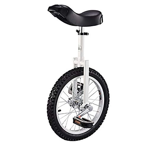 Unicycles : SSZY Unicycles 20 Inch Unisex Adult Professionals Unicycles, Teenagers Trainer Balance Cycling with Alloy Rim, for Fitness Exercise, Height Adjustable (Color : White)