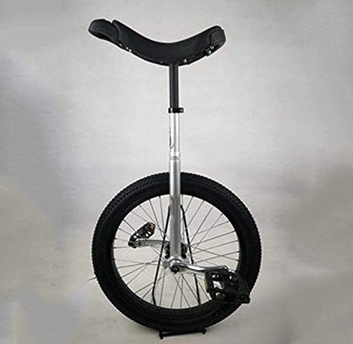 Unicycles : Unicycle for Adult Kids 20 Inchs Ergonomic Design Wheel Unicycle - With Nylon Non-slip Pedals Wheel Trainer Unicycle - Sturdy Steel Frame, Aluminum Alloy Seat Tube And Crank Exercise Bike Bicycle