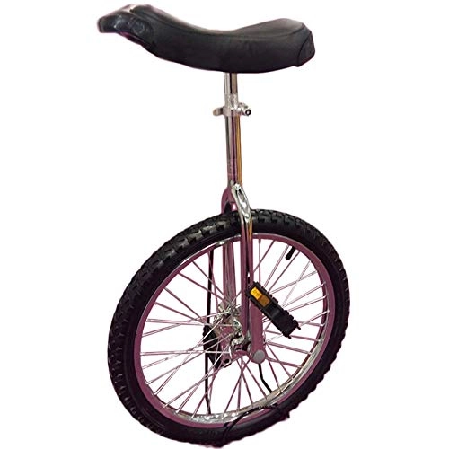 Unicycles : ywewsq 20 Inch Unicycle for Big Kids / Adults, Adjustable Outdoor Unicycle with Heavy Duty Steel Frame and Alloy Rim Wheel, Best Birthday Gift (Color : Silver, Size : 20 inch)
