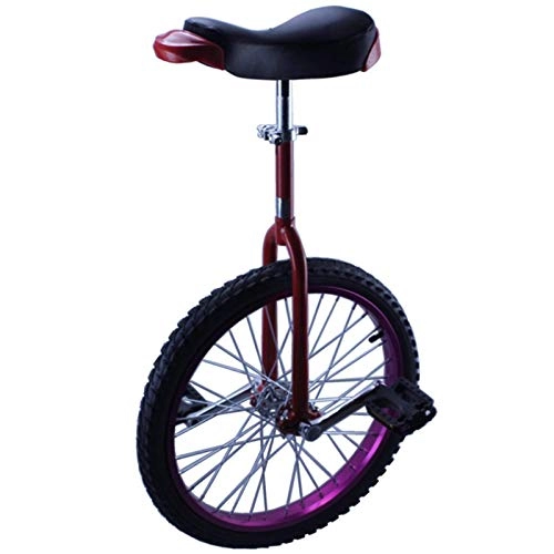 Unicycles : ywewsq Large 20" / 24" Adult's Unicycle for Men / Women / Big Kids, Small 14" / 16" / 18" Wheel Unicycle for Kids Boys Girls, Perfect Starter Beginner Uni-Cycle (Color : Purple, Size : 20")