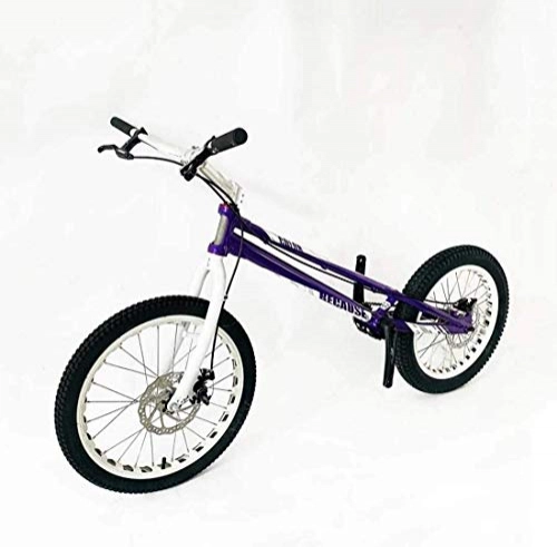 BMX : Strae Trial Bike, Strae Klettern geeignet Fancy Klettern Fahrrad for Anfnger-Level Fortgeschrittene 20 Zoll Adult Biketrial (Farbe : Lila)