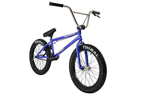 BMX : Tribal Warrior BMX-Fahrrad, mattes Blau