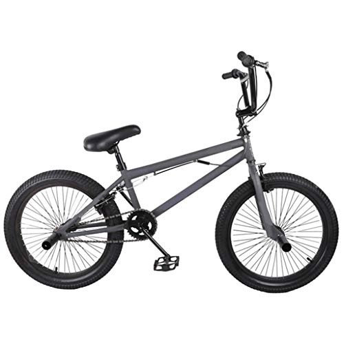 BMX : Zhangxiaowei Erwachsene Kinder Jungen und Mädchen Stahl Fahrrad für Zwei Instrumente Grau Freestyle Bike 20 Zoll, Grau
