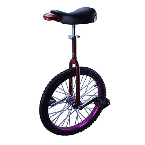 Einräder : AHAI YU 16 / 18 Zoll-radfahrräder für Kinder, 20 / 24 Zoll Erwachsene weiblich / männlich Teen Balance Radfahren Fahrrad, Outdoor Sport Fitness (Color : Purple, Size : 20")