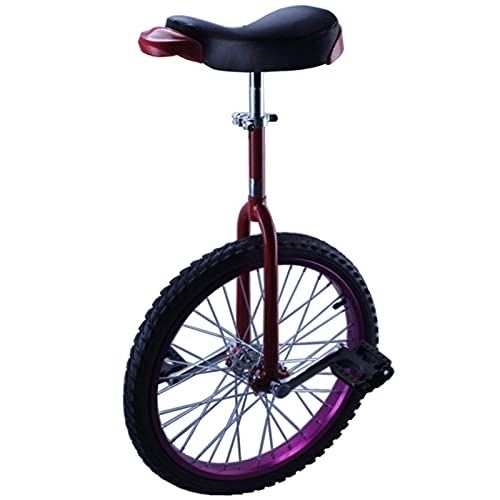 Einräder : CukyI Großes 20" / 24"-Einrad für Erwachsene für Männer / Frauen / große Kinder, kleines 14" / 16" / 18"-Rad-Einrad für Kinder, Jungen und Mädchen, perfektes Anfänger-Einrad, langlebig (24" Lila)