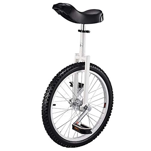 Einräder : Einrad 20-Zoll-Rad Einrad for Kinder / Anfänger / männliche Teenager, mit Alu-Felgen & Reifen Skidproof & Einrad Stand, Spaß Fitness Balance Radfahren (Color : White)