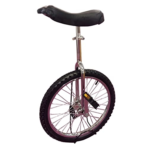 Einräder : HWBB Einrad 20" Zoll Laufrad Einrad für Einsteiger, Einräder mit Rutschfestem Bergreifen & Abstellbügel, für Personen 160cm - 175cm Groß