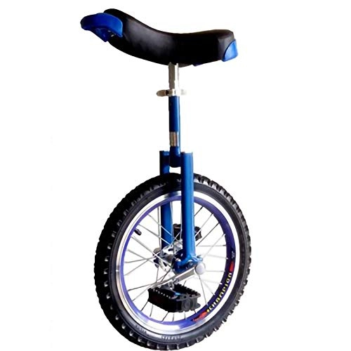 Einräder : YYLL Einrad-Double-Layer-Aluminium-Legierung Farbrad- Unicycle Leak Proof Butyl-Reifen-Rad Radfahren Outdoor Sports Fitness-Übungs-Gesundheit (Color : Blue, Size : 18inch)