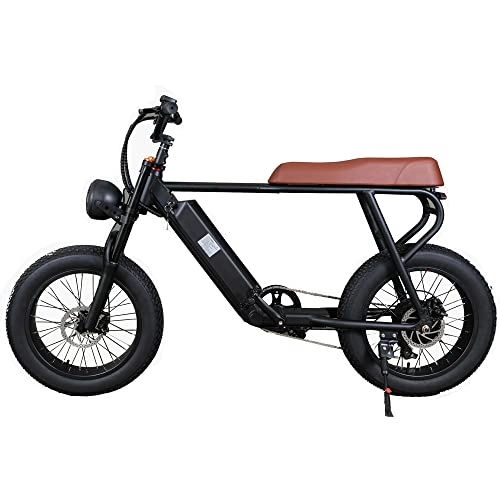 Elektrofahrräder : 20-Zoll-Elektro-Snowbike, 48-V-15-Ah-Lithiumbatterie und Luftfedergabel, großes Frontlicht, beide Scheibenbremsen (Stardard)