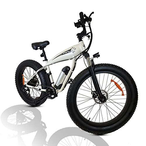 Elektrofahrräder : 26 Zoll E-Bike / Mountainbike Damen &Herren, Elektrofahrrad / Pedelec / E-Citybike mit 36V 10Ah Akku & LCD-Display & 7-Gang Shimano &250W Hinterradmotor für 25 km / h