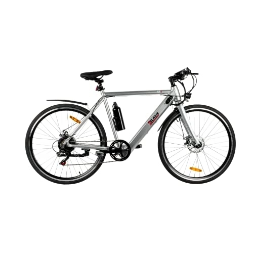 Elektrofahrräder : 2Flash City E-Bike | Model CT2 (Metall)