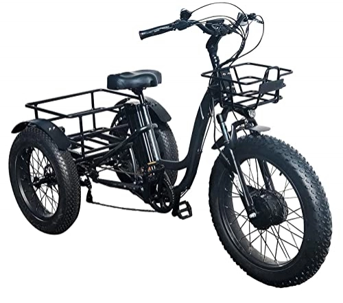 Elektrofahrräder : 3-Rad elektrisches Fahrrad, Dreirad Adult elektrisches Fahrrad 7-fach, 750W 48V 16 Ah herausnehmbare Batterie, 20-Zoll-Reifen Fett Elektro-Dreirad, vordere und hintere Frachtkörbe, verstellbare Lenker