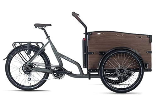 Elektrofahrräder : Adore Cargo E-Bike Urban Deluxe schwarz 250W 36V / 13 Ah Li-Ion-Akku