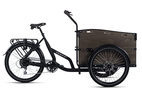Elektrofahrräder : Adore Cargo E-Bike Urban Plus schwarz 250W 36V / 13 Ah Li-Ion-Akku