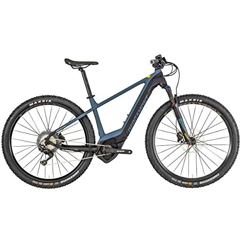 Elektrofahrräder : Bergamont E-Revox Expert 29 Pedelec Elektro MTB Fahrrad grau / schwarz 2019: Gre: XL (184-199cm)