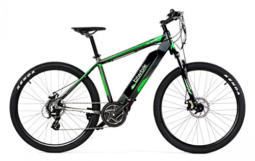 Elektrofahrräder : Biwbik Elektrisches Fahrrad Modell Kubor, Lithium-Ionen-Akku 36 V, 11, 6 Ah, Herren, grau
