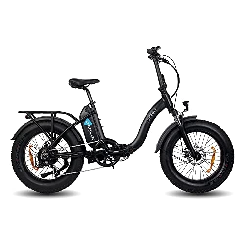 Elektrofahrräder : DERUIZ Amber Ebike Erwachsene 20 Zoll Schneefahrrad Elektrofahrrad Fette Reifen Fahrrad, 7 Gänge Hinterradmotor, Abnehmbare Lithium-Ionen-Akku 48V (Schwarz)