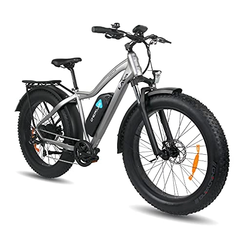 Elektrofahrräder : DERUIZ Lava E-Bike 26" Elektrische Fahrräder für Erwachsene Ebikes 48V 750W Herausnehmbarer 13Ah Batterie Dicke Übergroße Reifen Fahrrad Beach Cruiser Fat Bike(Grau)
