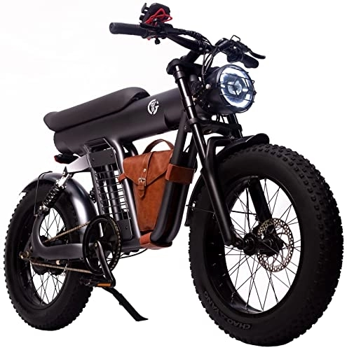 Elektrofahrräder : E-Bike Elektrofahrrad 20 Zoll Fat Tire E-Fahrrad, großer Akku, Mountainbike City EBike Personalisiertes Schnee-Elektrofahrräder Frauen & Männer