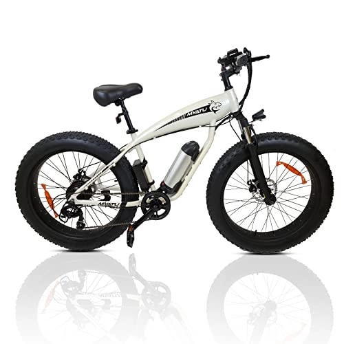 Elektrofahrräder : E-Bike Elektrofahrrad Mountainbike, 26 Zoll Fetter Reifen Elektrisches Fahrrad 250W Snowbike Pedelec mit Abnehmbarer 36V 10Ah Lithium-Batterie，Herren und Damen