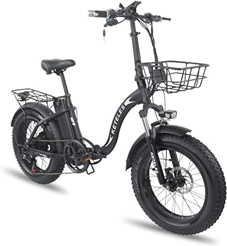 Elektrofahrräder : E-Bike Klapprad 20 Zoll Damen Herren，Elektrofahrrad mit 48V 15A Lithium Akku, 250W Heckmotor，4, 0 Fette Reifen Full Terrain，Shimano 7-Gang