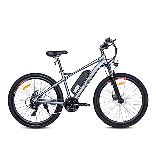 Elektrofahrräder : E-Bike SachsenRad R10, Allround Mountainbike 27, 5 Zoll Rahmen grau, 36V 8Ah Lithium Akku, 250W Leistung, max. 25 km / h, 21 Gang, StVo-Zertifiziert, Scheibenbremse, Beleuchtung