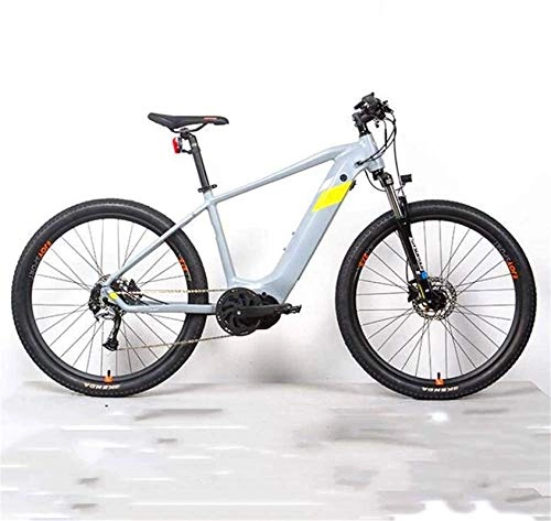 Elektrofahrräder : Elektrische Schnee Fahrrad, Elektrofahrräder, 36V14A Aluminiumlegierung Fahrrad 250 Watt Doppelscheibe Bremse Bikes Erwachsene Sportarten Outdoor Lith.