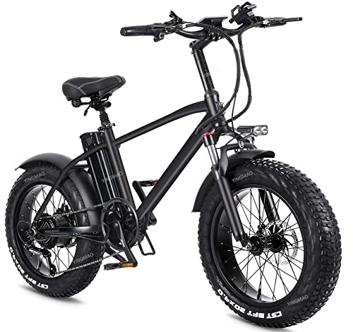 Elektrofahrräder : Elektrofahrrad E Bike 20 Zoll, 48V 15A Abnehmbarer Lithium Akku, Pedelec Citybike Herren Damen, Shimano 7 Gänge