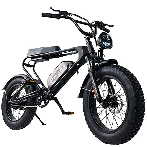 Elektrofahrräder : Freego Elektrofahrräder E-Bike DK200 Elektrofahrrad 20'' Trekkingrad E-Citybike mit 48V Lithium-Akku, LCD Display