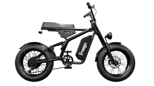 Elektrofahrräder : Freego F1 E-Bike mit 20 * 4" fetten Reifen und abnehmbarem Akku mit Doppelscheibenbremsen