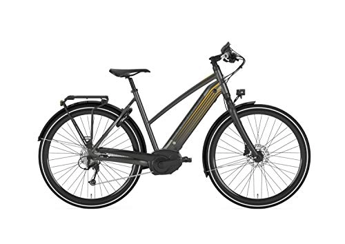 Elektrofahrräder : Gazelle CityZen T10 HMB, Damen, Trapez, Modell 2019, 28 Zoll, grau, 46 cm