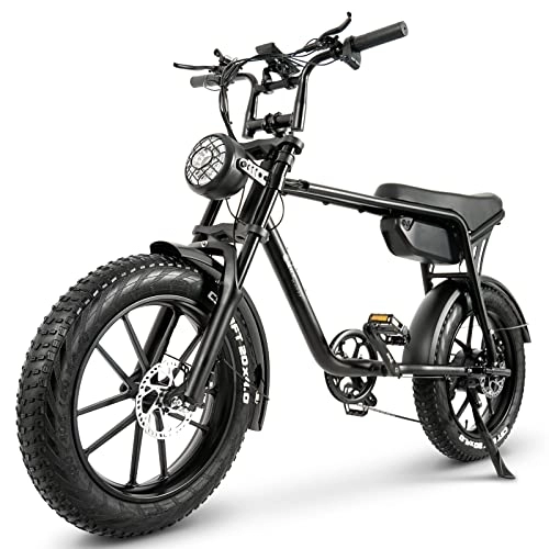 Elektrofahrräder : HFRYPShop Elektrofahrrad für Erwachsene 20'', E Fatbike mit 48V / 720Wh Abnehmbarer Lithium Akku, 5-Gang Motor, Hydraulische Bremse | Hydraulische Stoßdämpfung, für 25 km / h E Bike Herren