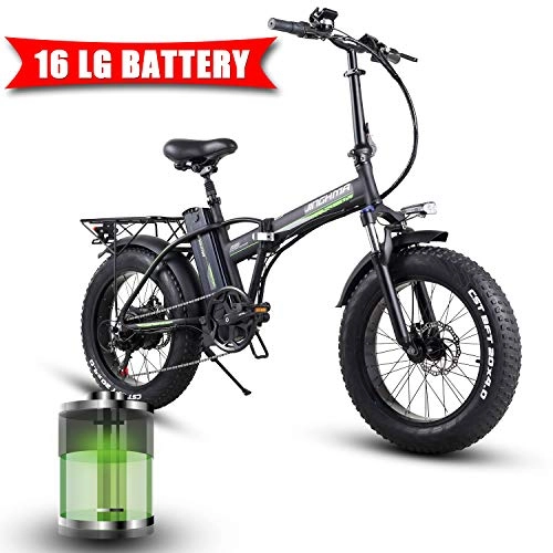 Elektrofahrräder : HUAKAI R8 Elektro-Mountainbike, 350W 20 '' * 4.0 Elektrofahrrad mit 48V 10AH / 15AH / LG 16AH Lithium-Ionen-Batterie (LG16ah)