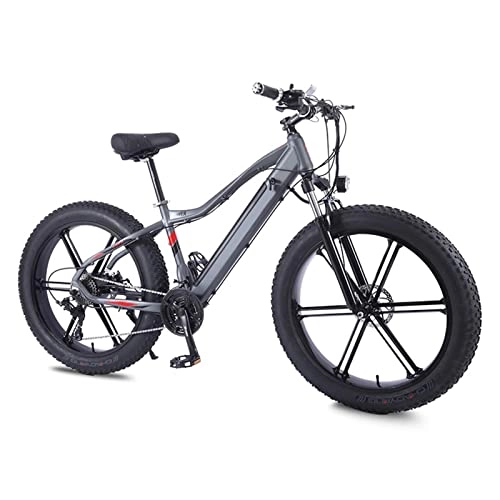 Elektrofahrräder : liu 750W Electric Bike for Erwachsene 26 * 4, 0 Zoll Fettreifen Elektrische Mountainbike 4 8V 10.4A E. Bike 27 Speed ​​Snow Ebike (Farbe : Dark Grey, Number of speeds : 27)