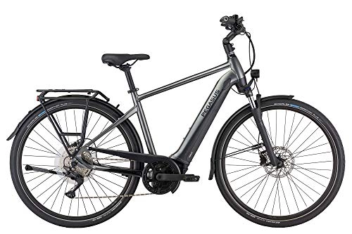 Elektrofahrräder : PEGASUS Premio EVO 10 Lite Herren E-Bike Pedelec 2021, Farbe:Chrom, Rahmenhöhe:50 cm, Akku:500 Wh
