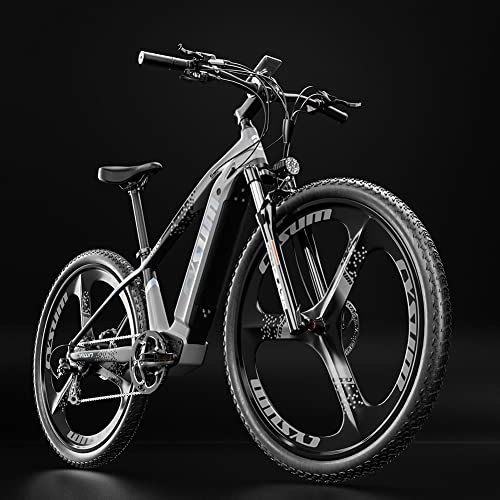 Elektrofahrräder : RICH BIT TOP-520 29" Elektro-Mountainbike, 48 V 10 Ah Lithium-Akku E-Bike, Hydraulische Bremsen (Grau)