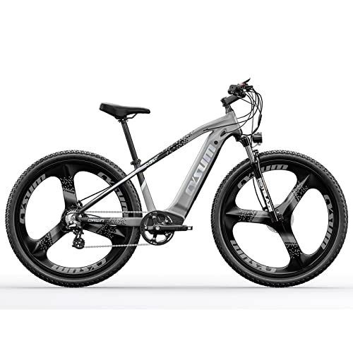 Elektrofahrräder : RICH BIT TOP-520 E-Bike Männer Frauen, 29 Zoll E-Mountainbike, 48V Lithium-Ionen-Akku E-Bike, 7-Gang-Elektrofahrrad (grau)