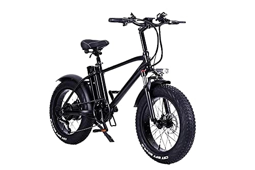 Elektrofahrräder : ride66 Elektrofahrrad T20 Fat Tire 48V 15AH City Bike (Schwarz), 20 inches