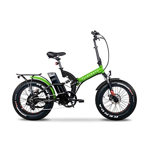 Elektrofahrräder : Silber Bike - BIMAX-S Metal Green 2020 (E-Bike klappbar)