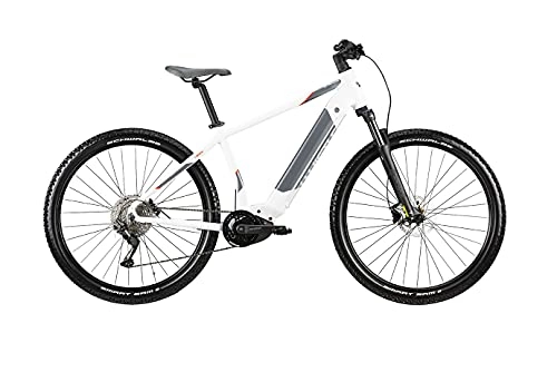 Elektrofahrräder : WHISTLE 2021 E-Bike B-Race A7.1 10 V Bosch Motor Größe S40 (150 cm bis 170 cm)