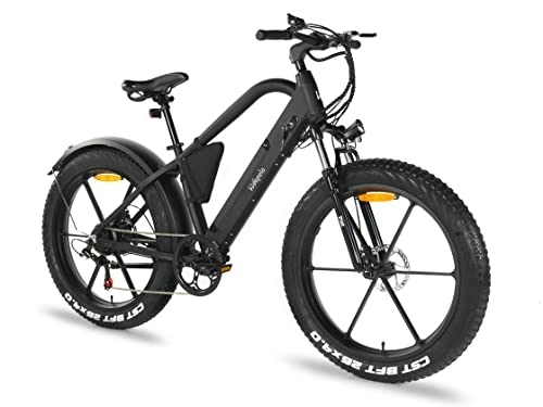 Elektrofahrräder : Woopela Piet E-Bike Fatbike 26 Zoll Mountainbike Elektrofahrrad Shimano 6 Gang-Schaltung EU-konform 48V / 250 W Motor Batterie abnehmbar Elektrik Bike 25 km / h Disc-Brake, matt - schwarz