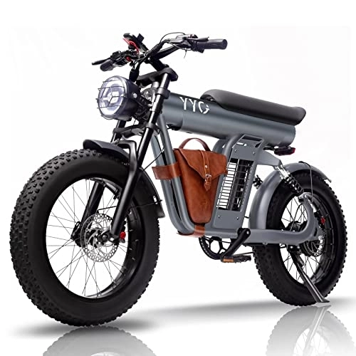 Elektrofahrräder : YYG E Bike Elektrofahrrad 20 Zoll Ebike 250W 20km / h, entfernbare Batterie 48V / 20Ah, Fetter Reifen Pendler elektrisches Fahrrad, Dual Suspension Motorräder Schwarz