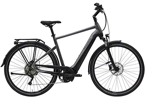 Elektrofahrräder : ZEG Pegasus Premio Evo 10 Lite Herren E-Bike Pedelec 2020, Rahmenhöhe:50 cm, Farbe:grau, Kapazität Akku:625 Wh