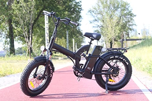 Elektrofahrräder : Zusammenklappbares Elektrofahrrad mit Starter, 750 W, 48 V, 15 Ah, abnehmbarer Lithium-Akku, Ebike (schwarz)
